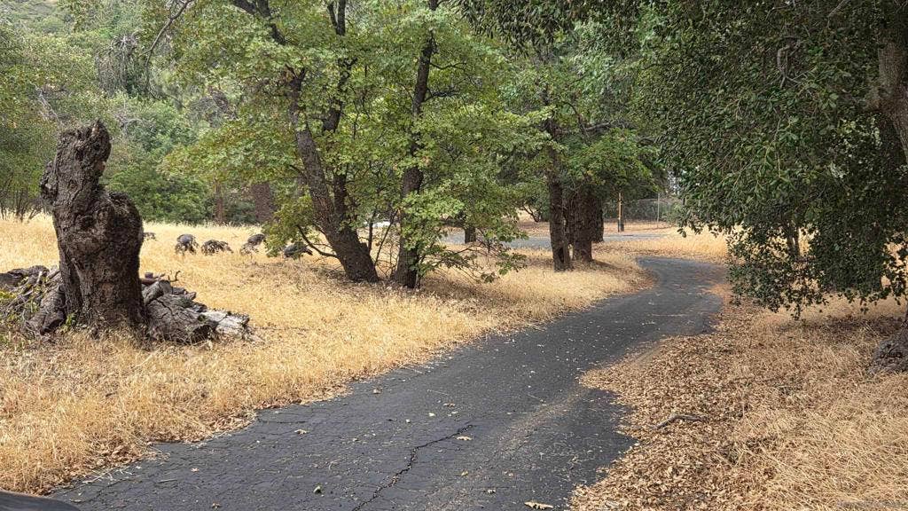 2843 Heliotrope Drive, Julian, CA 92036