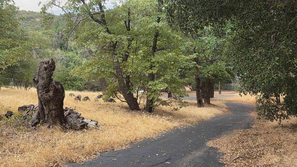 2843 Heliotrope Drive, Julian, CA 92036