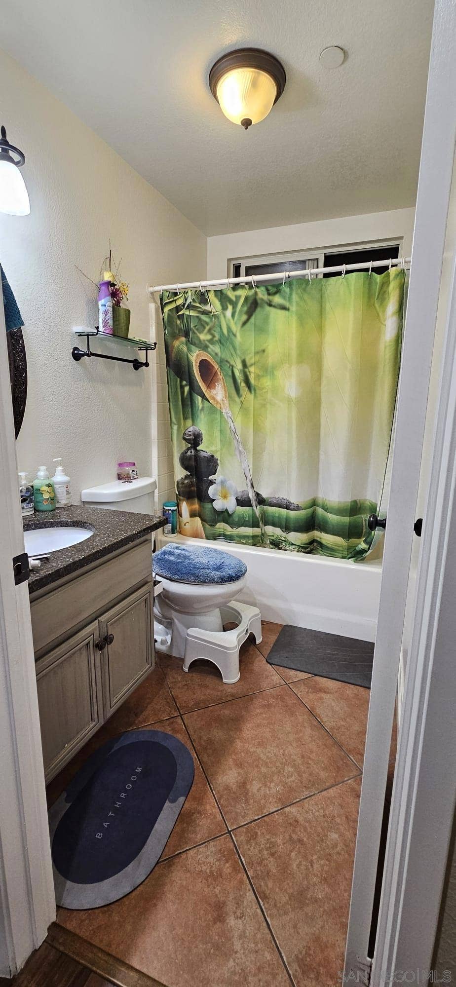 1387 Corte Bagalso, San Marcos, CA 92069