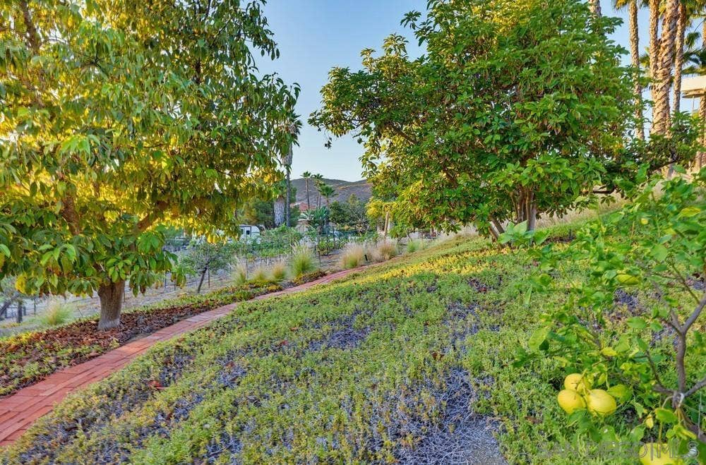 14697 Hidden Wood, Jamul, CA 91935 14697 Hidden Wood, Jamul, CA 91935