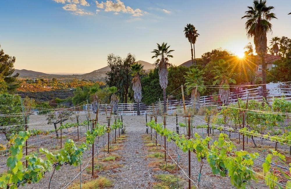 14697 Hidden Wood, Jamul, CA 91935 14697 Hidden Wood, Jamul, CA 91935