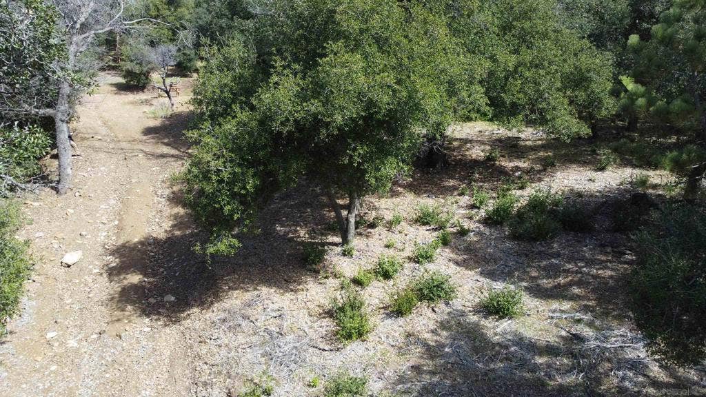 2716 Payson Dr, Julian, CA 92036 2716 Payson Dr, Julian, CA 92036