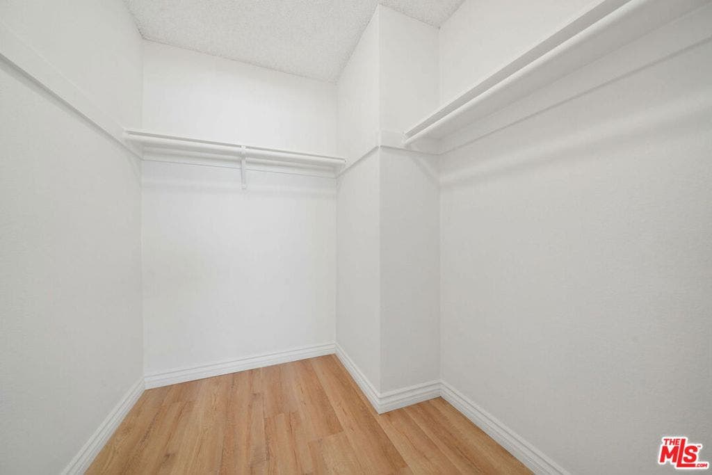 1028 7TH Street, #102, Santa Monica, CA 90403 HUGE Walk-in Closet