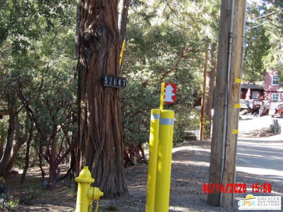 25111 Nestwa Trail, Idyllwild, CA 92549 Street to go to home