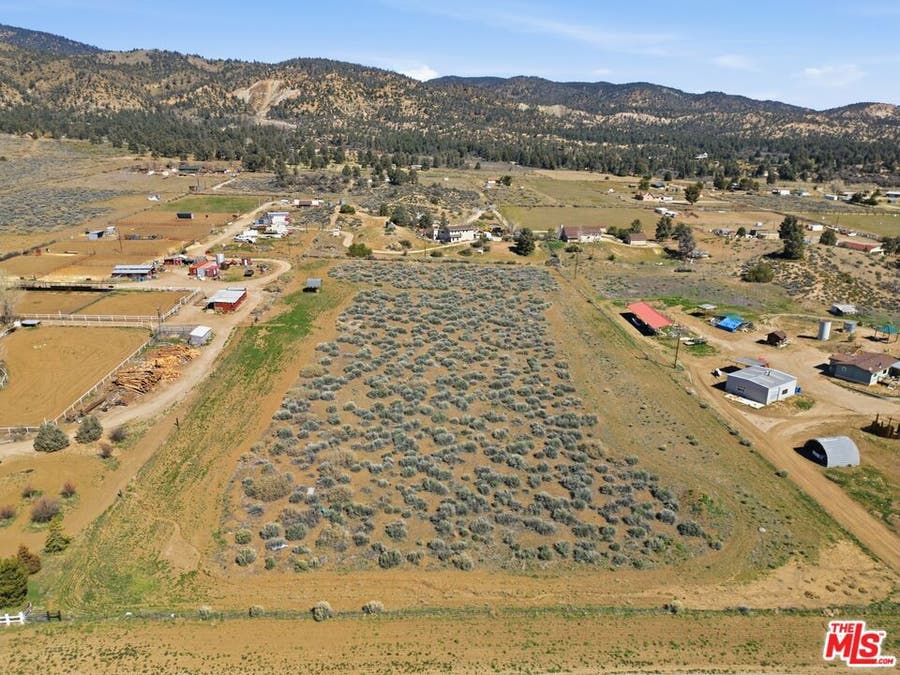 Property photo for 0 Mt. Lilac Trail, Frazier Park, CA