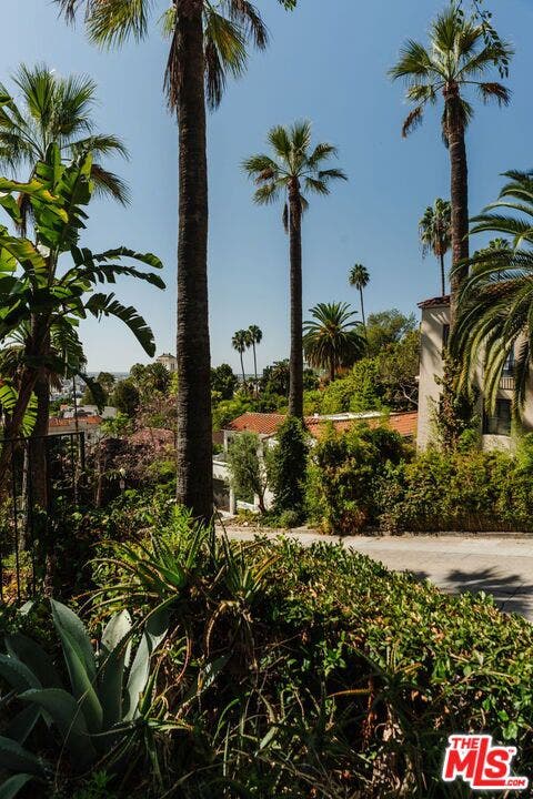 1979 Grace Avenue, #2, Los Angeles, CA 90068 1979 Grace Avenue, #2, Los Angeles, CA 90068