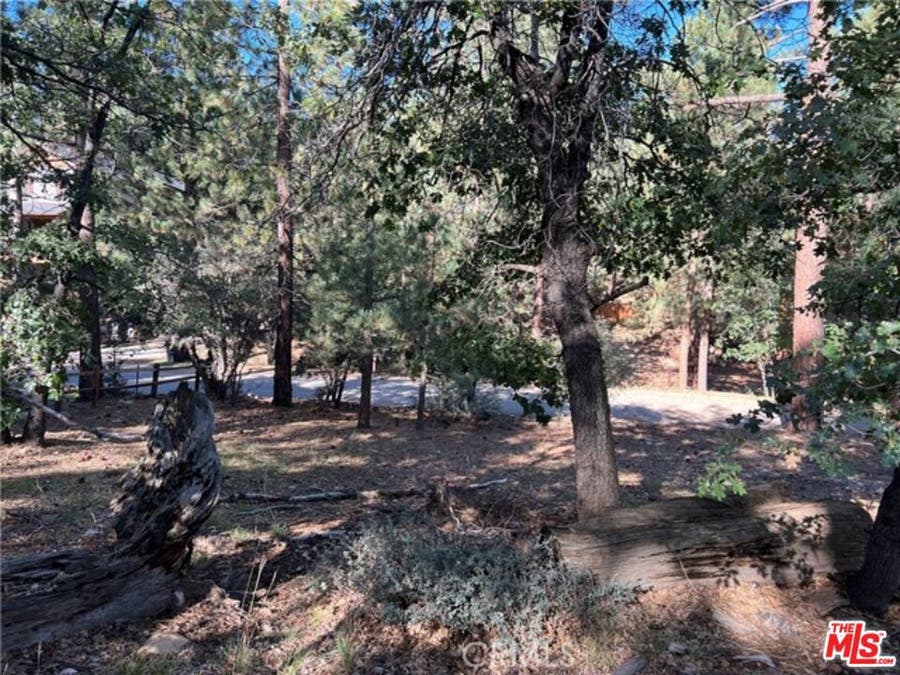 Property photo for 0 Kern Avenue, Sugarloaf, CA