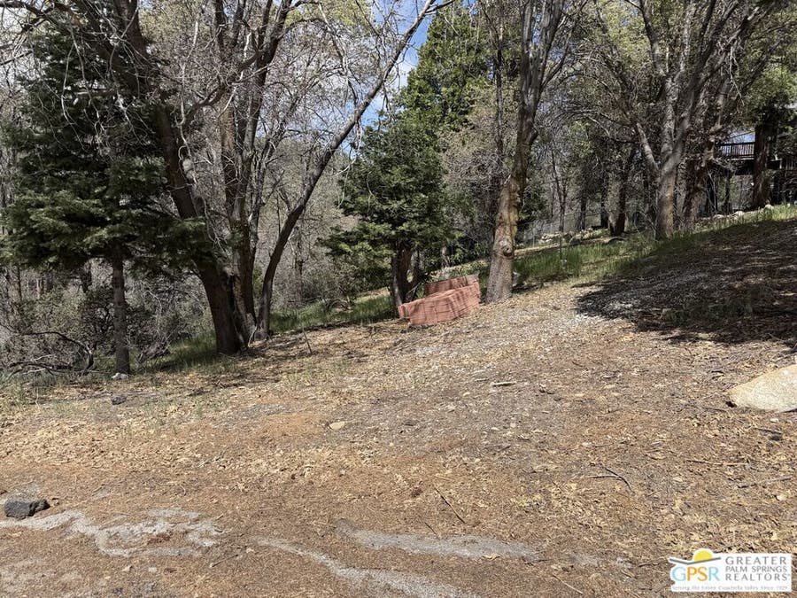 Property photo for 6032 Tripp Lane, Angelus Oaks, CA