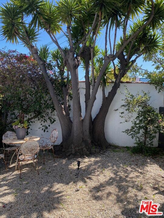 Property photo for 1053 S Alfred Street, #A, Los Angeles, CA