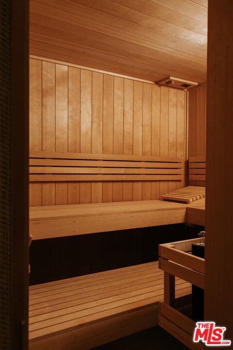 Lower lever guest bath sauna