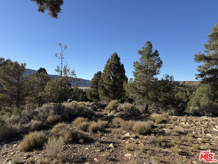 Property photo for 46280 Boron Lane, Big Bear City, CA