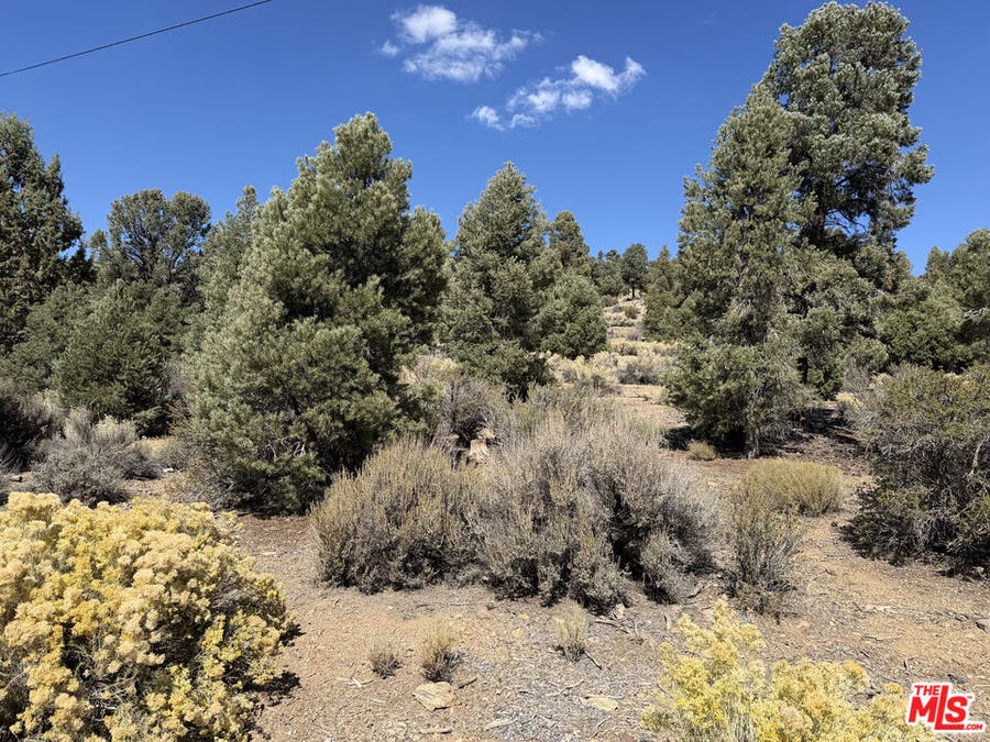 Property photo for 0 Falling Springs Road, Big Bear City, CA