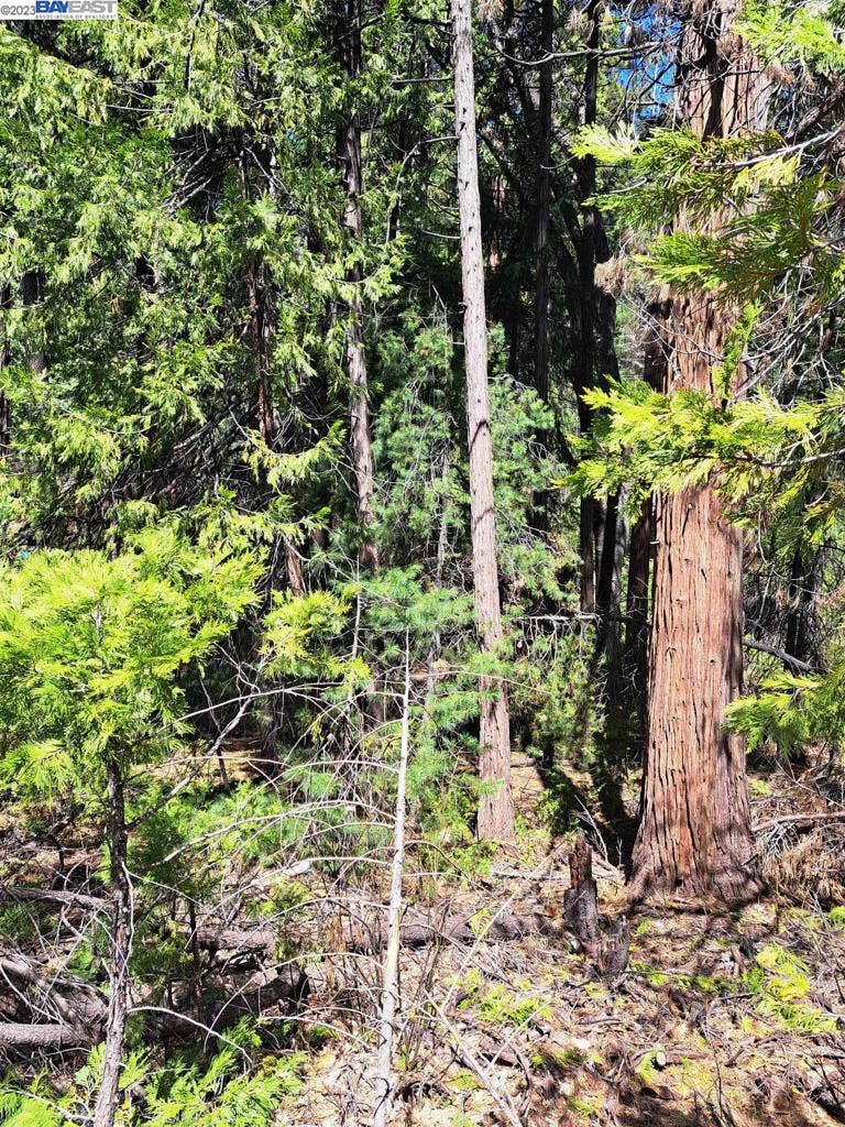 Property photo for Pollock Pines, CA