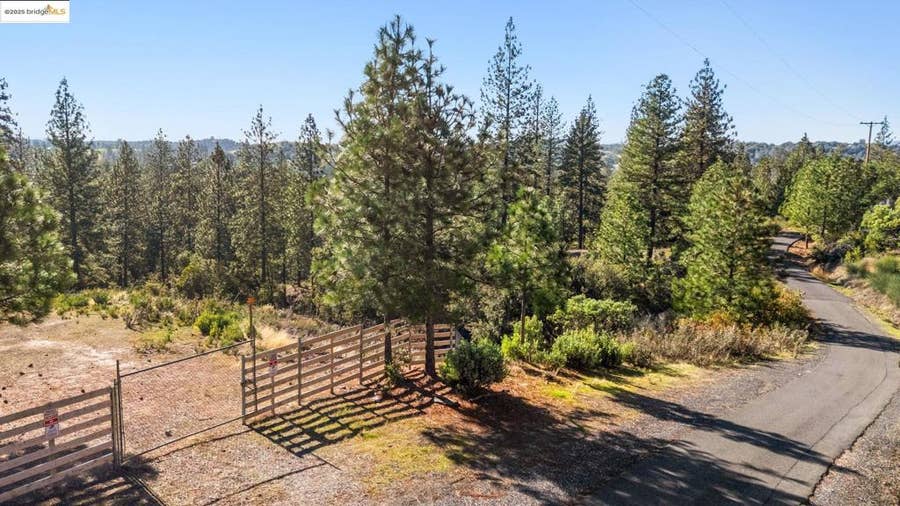 Property photo for 11210 Forest Park Rd, Columbia, CA