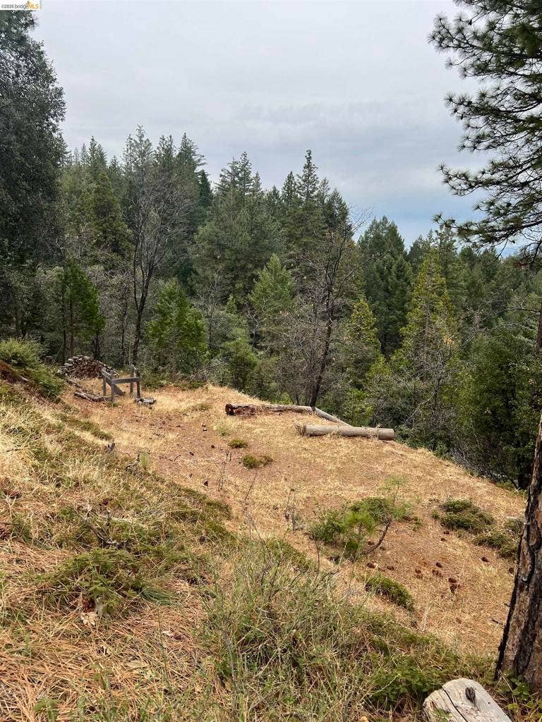Property photo for 19262 Tanglewood Trl., Twain Harte, CA