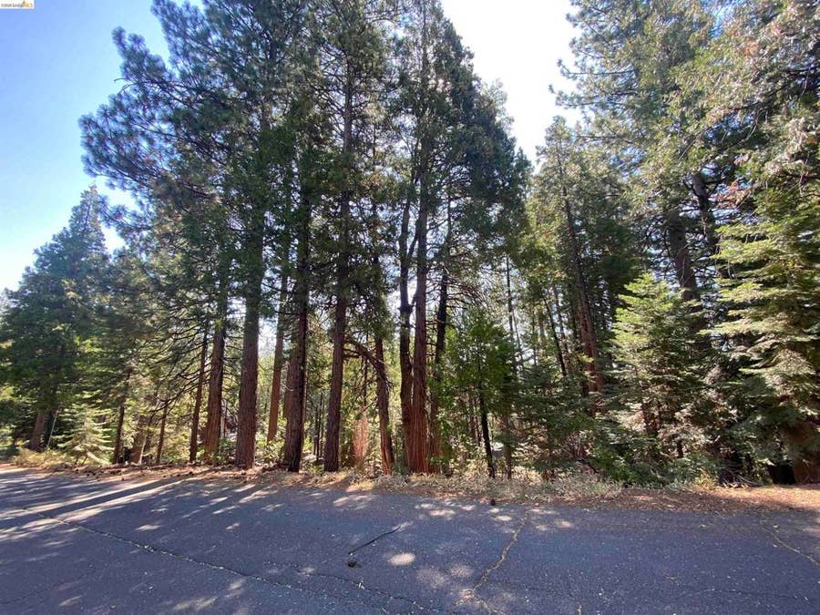 Property photo for 155 Alpine, Cold Springs, CA
