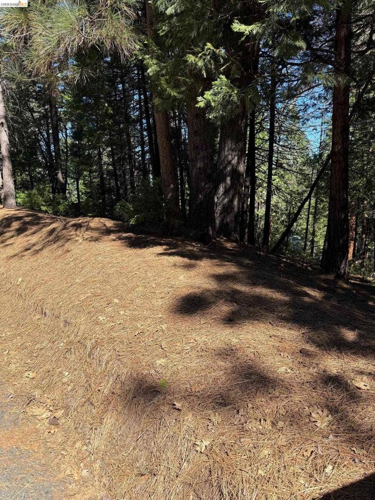 Property photo for 0 Lot 498 Oxbow Lane N, Sonora, CA
