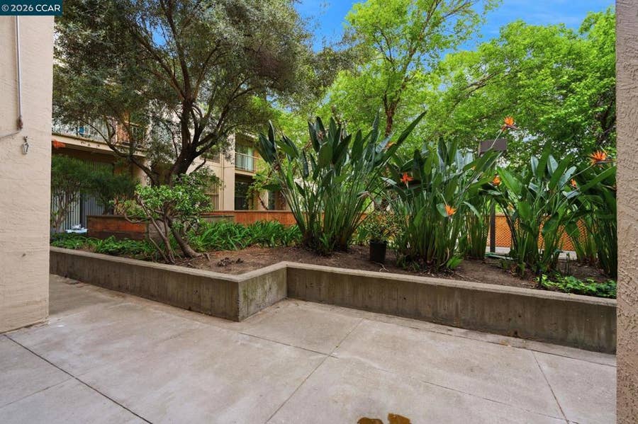 Property photo for 460 N Civic Dr, #302, Walnut Creek, CA