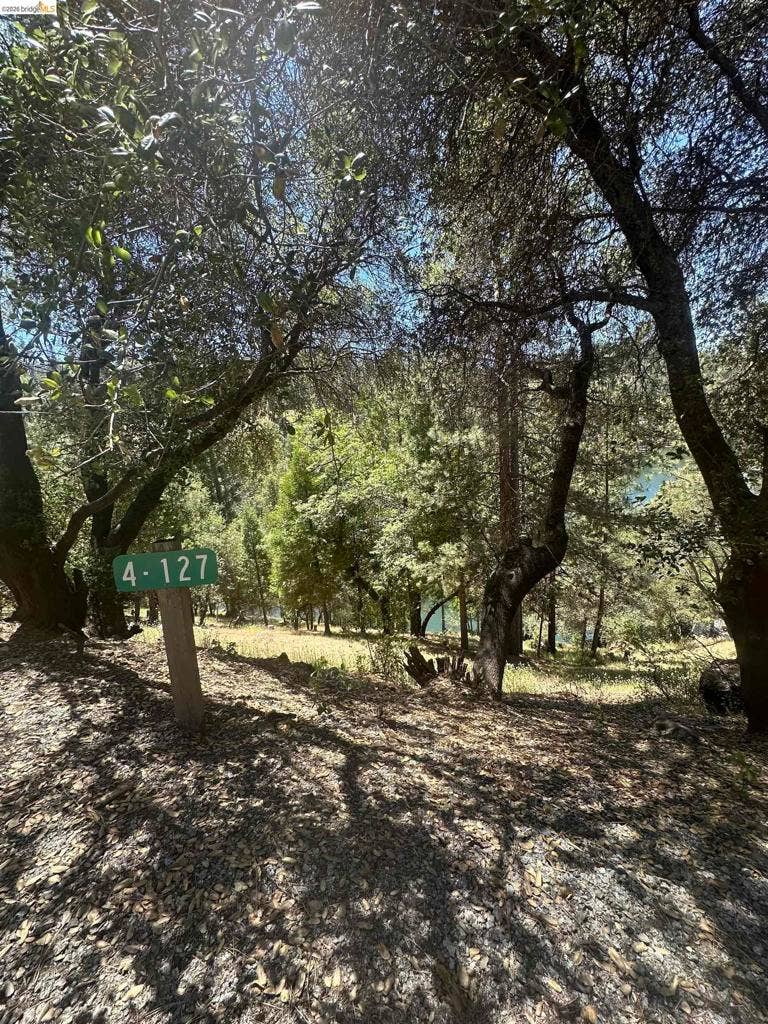 Property photo for 4 Pine Mountain Dr, Groveland, CA