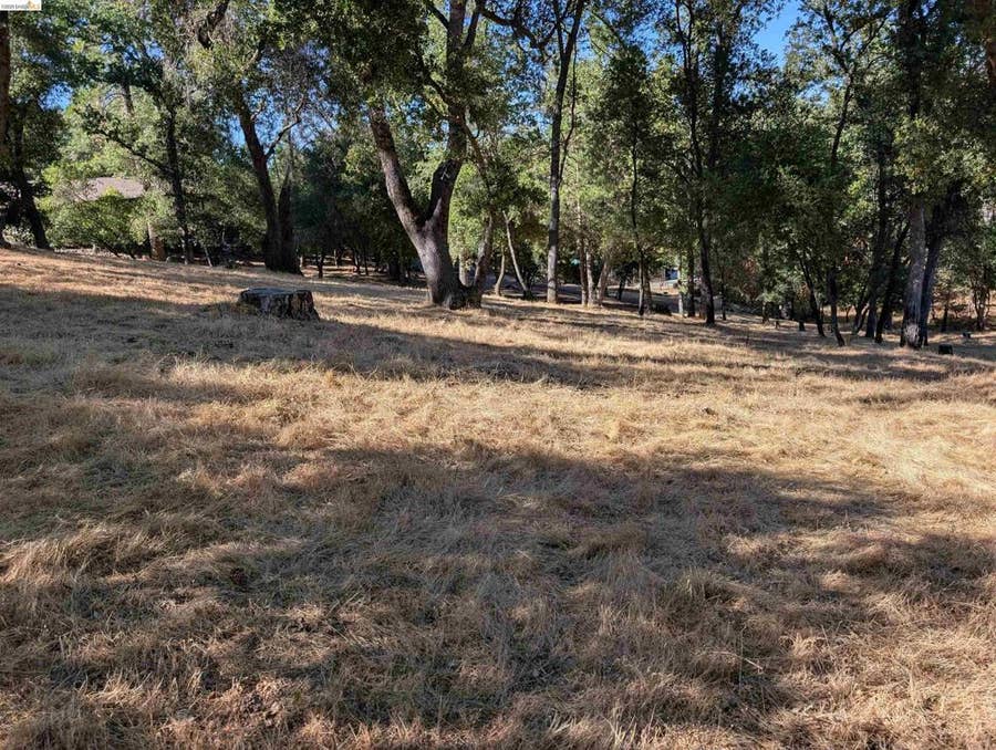 Property photo for 19055 Crocker Station, Groveland, CA