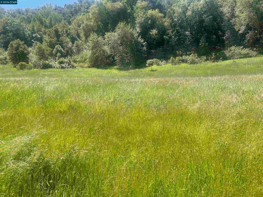 Property photo for 1180 Bear Creek Rd, Martinez, CA