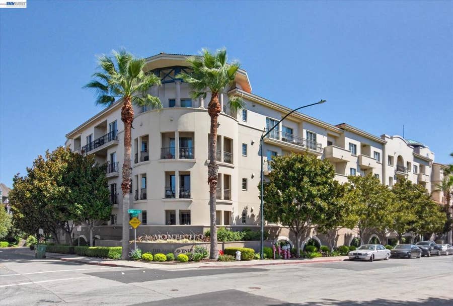 Property photo for 1315 Alma Ave, #311, Walnut Creek, CA