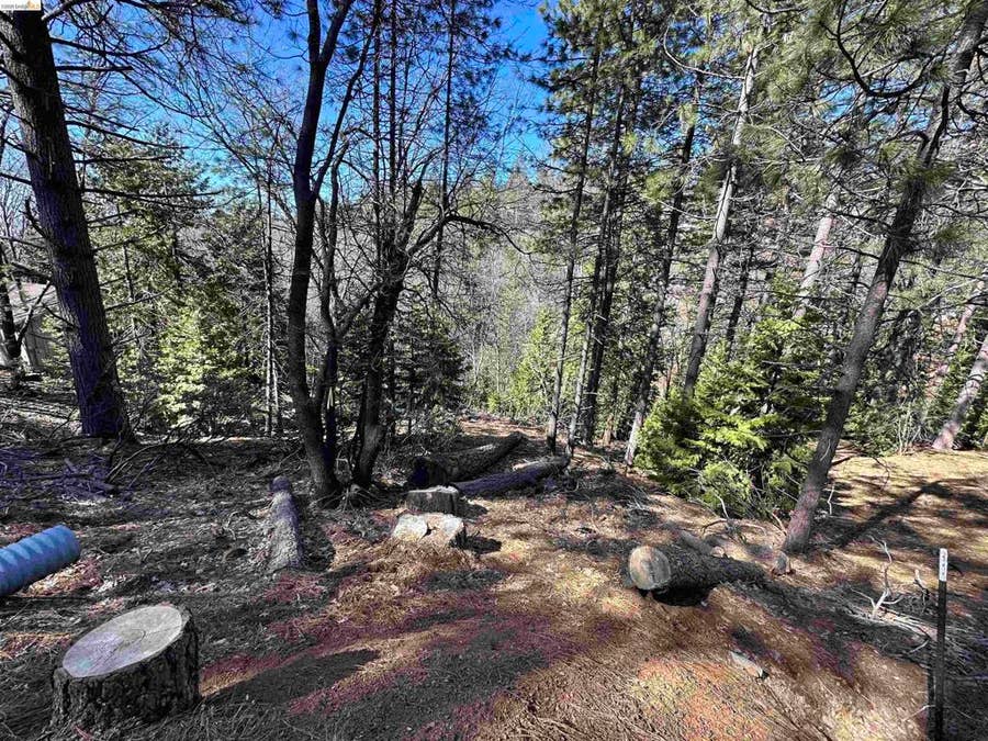 Property photo for 23956 Stable Rd, Sonora, CA