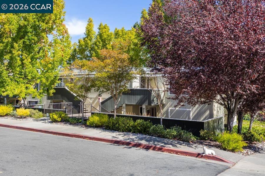 Property photo for 1116 Running Springs Rd, #7, Walnut Creek, CA