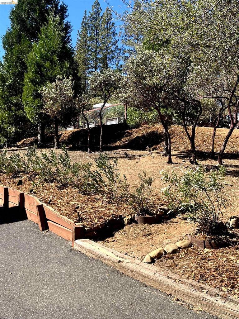 19991 Pine Mountain Dr., Groveland, CA 95321 19991 Pine Mountain Dr., Groveland, CA 95321