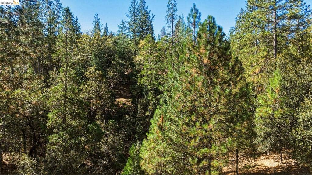 19991 Pine Mountain Dr., Groveland, CA 95321 19991 Pine Mountain Dr., Groveland, CA 95321