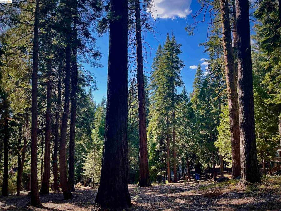 Property photo for 5125 Hokan Circle, Arnold, CA