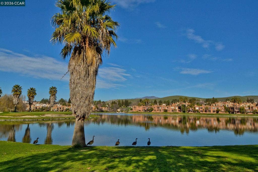 5012 Lakeview Dr, #201, San Ramon, CA 94582