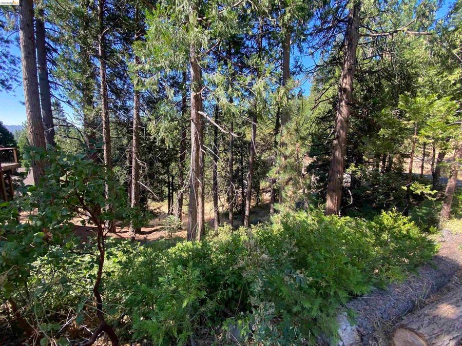 Property photo for 280 No Address - Vacant Lot, Long Barn, CA