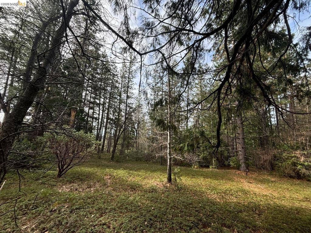 245 Heron Ct, Avery, CA 95224