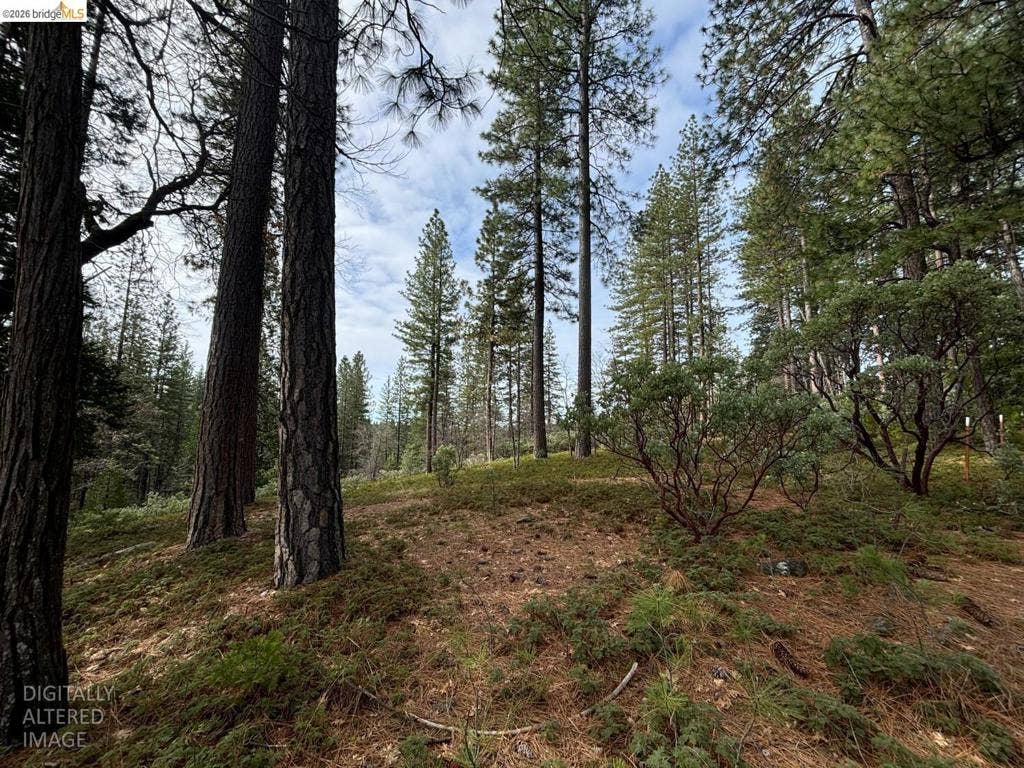 245 Heron Ct, Avery, CA 95224