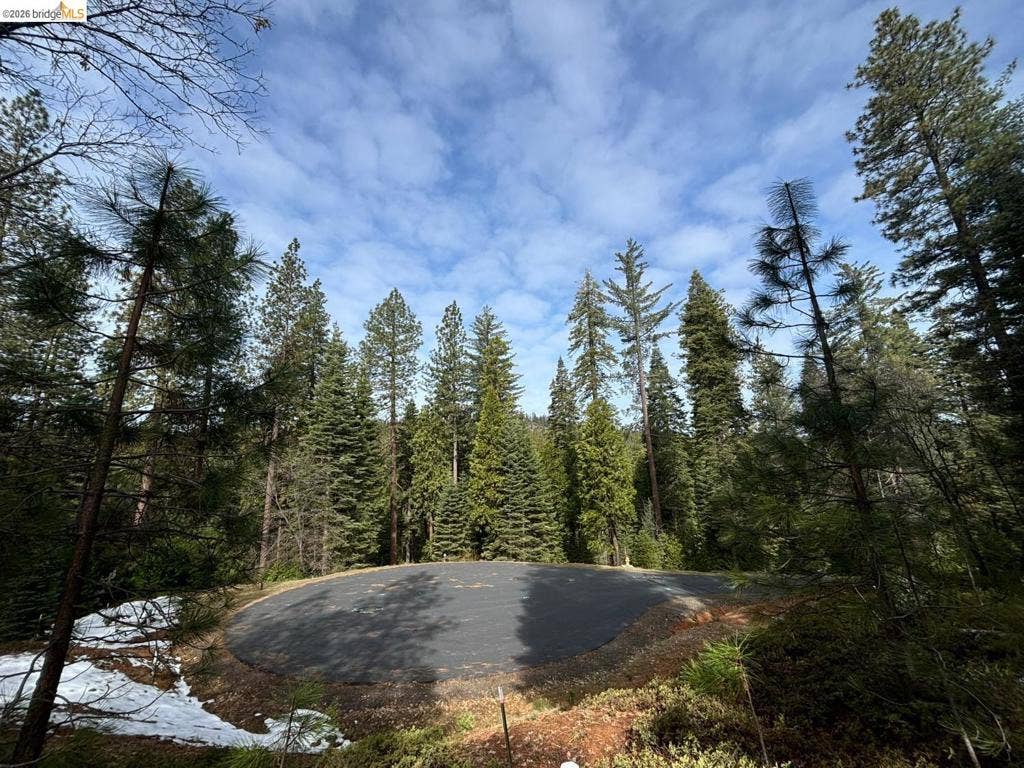 245 Heron Ct, Avery, CA 95224