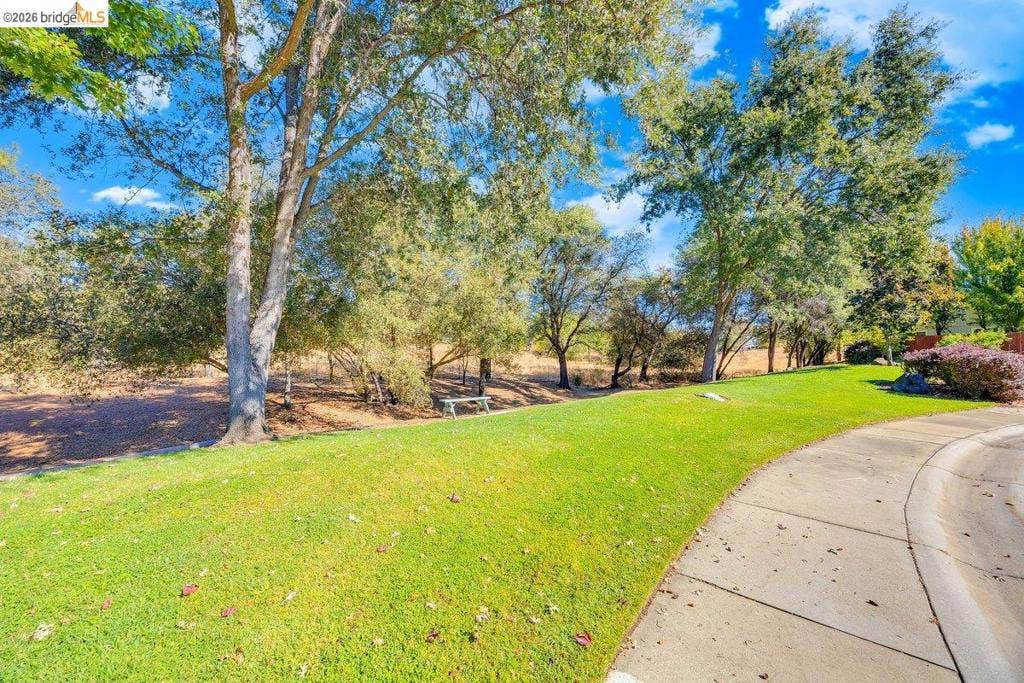 981 Country Ln, Angels Camp, CA 95222 Expansive lawn bordered by mature trees and a paved walkway