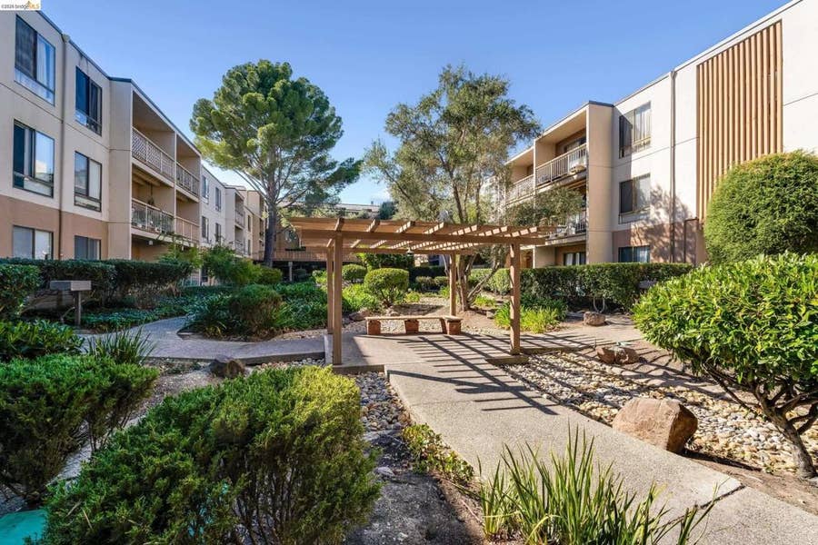 Property photo for 490 N Civic Dr, #322, Walnut Creek, CA