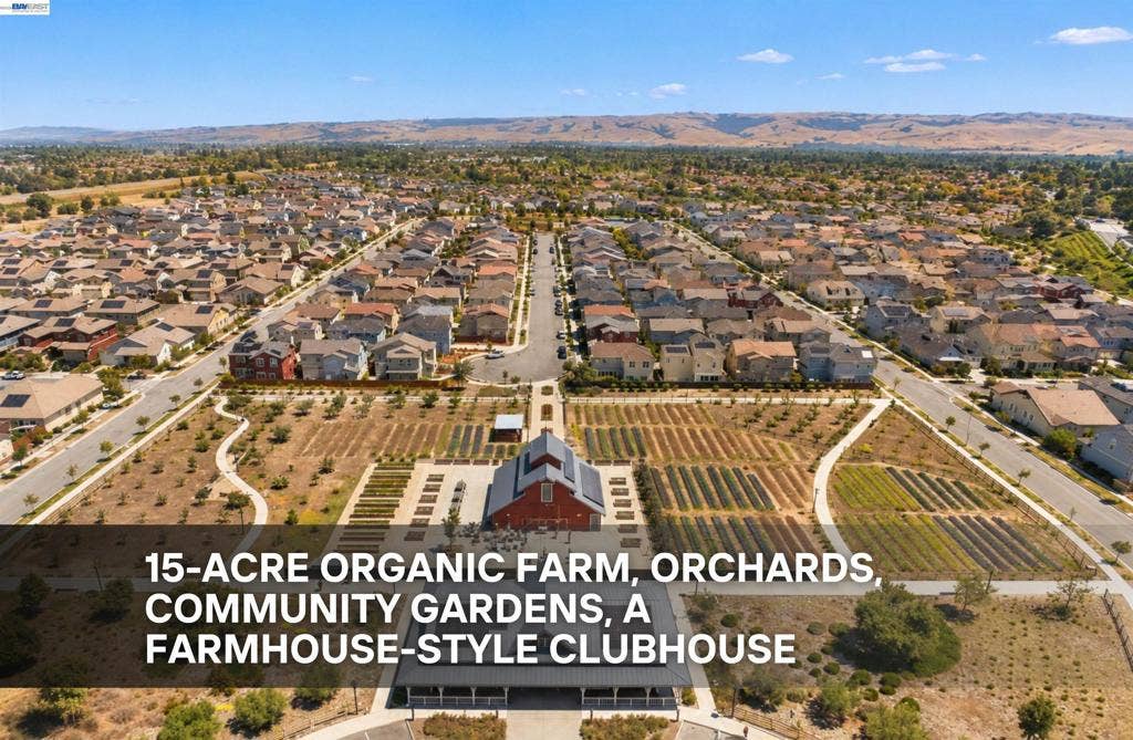 34113 Spur Way, Fremont, CA 94555 34113 Spur Way, Fremont, CA 94555