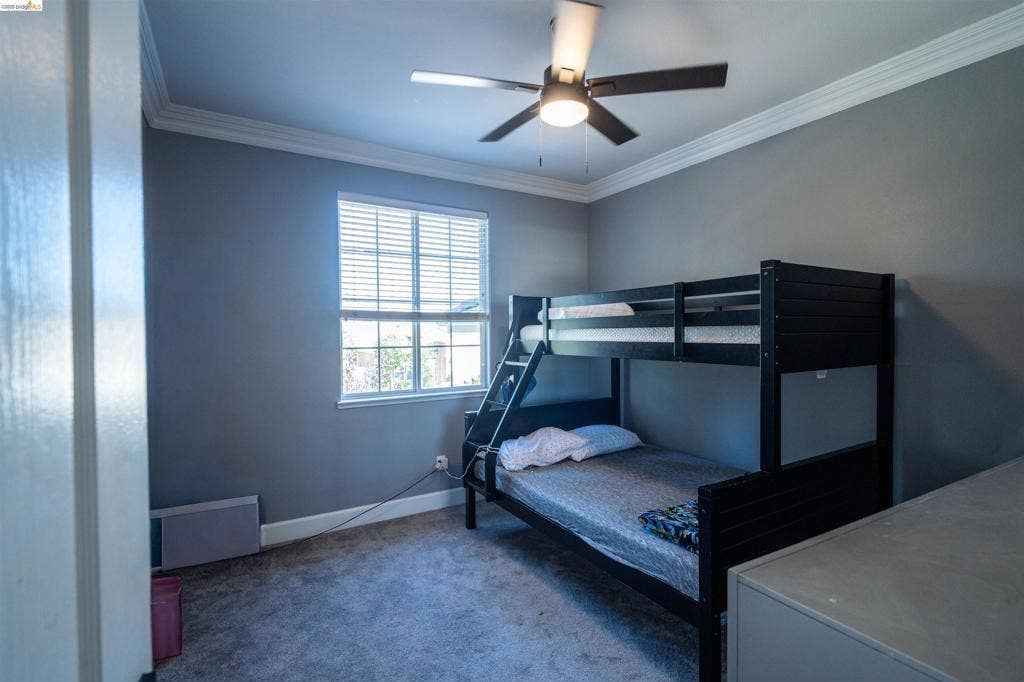 4600 Via Terreno, Modesto, CA 95357 Room featuring crown molding, neutral wall paint, carpeted flooring, and a multi-blade ceiling fan with integrated light fixture
