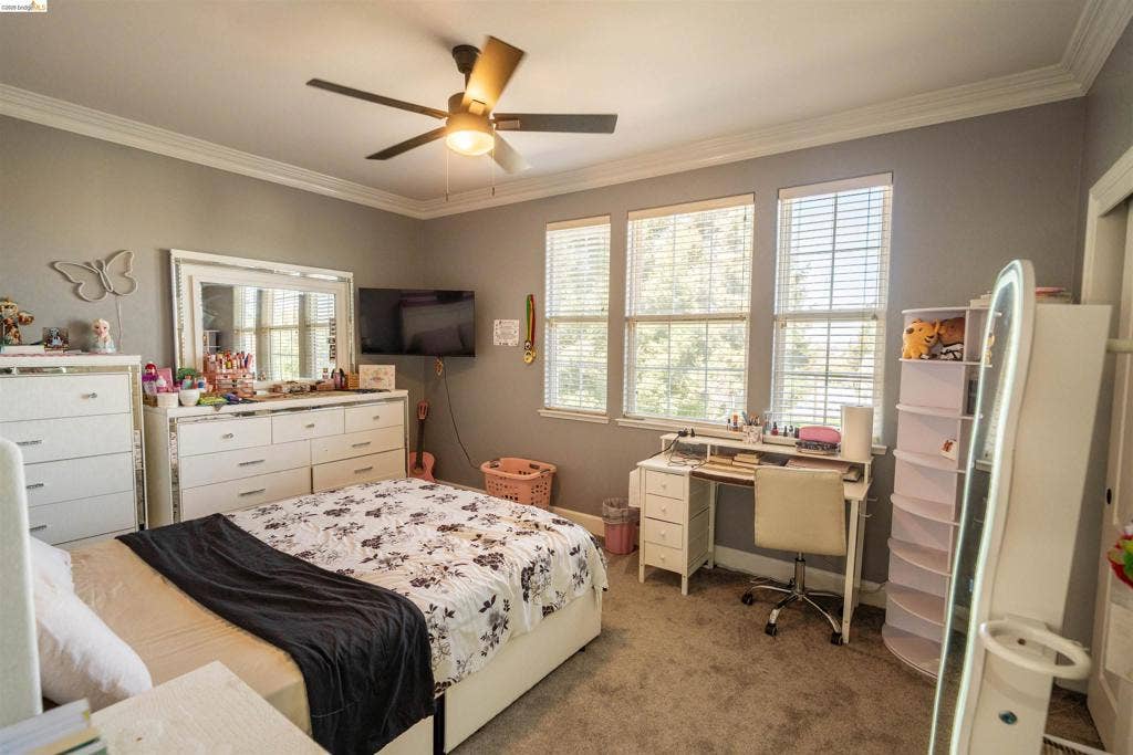 4600 Via Terreno, Modesto, CA 95357 Bedroom featuring crown molding, neutral wall color, wall-to-wall carpeting, a multi-light ceiling fan, and triple-pane windows