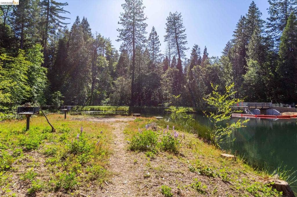 23593 Lakewood Dr, Twain Harte, CA 95383 23593 Lakewood Dr, Twain Harte, CA 95383