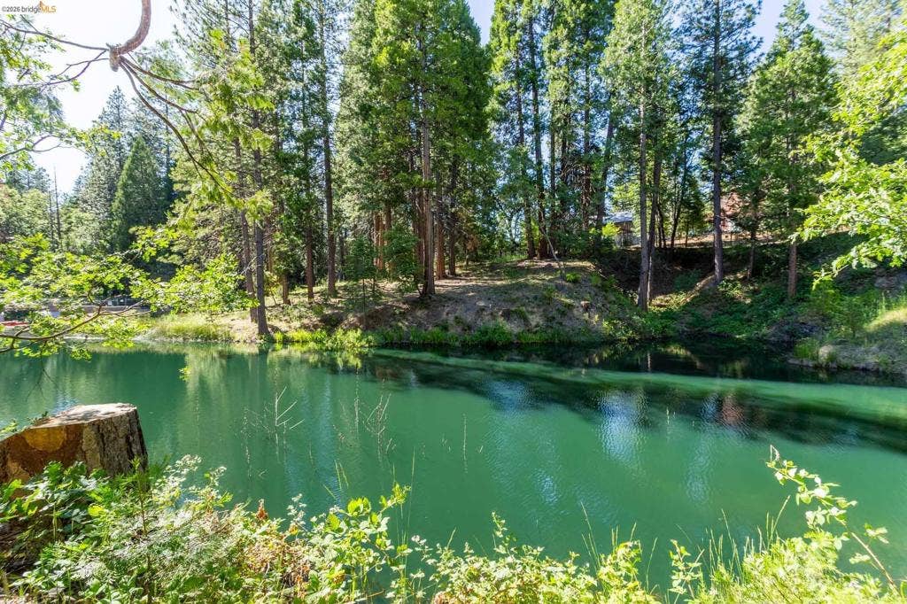 23593 Lakewood Dr, Twain Harte, CA 95383 23593 Lakewood Dr, Twain Harte, CA 95383
