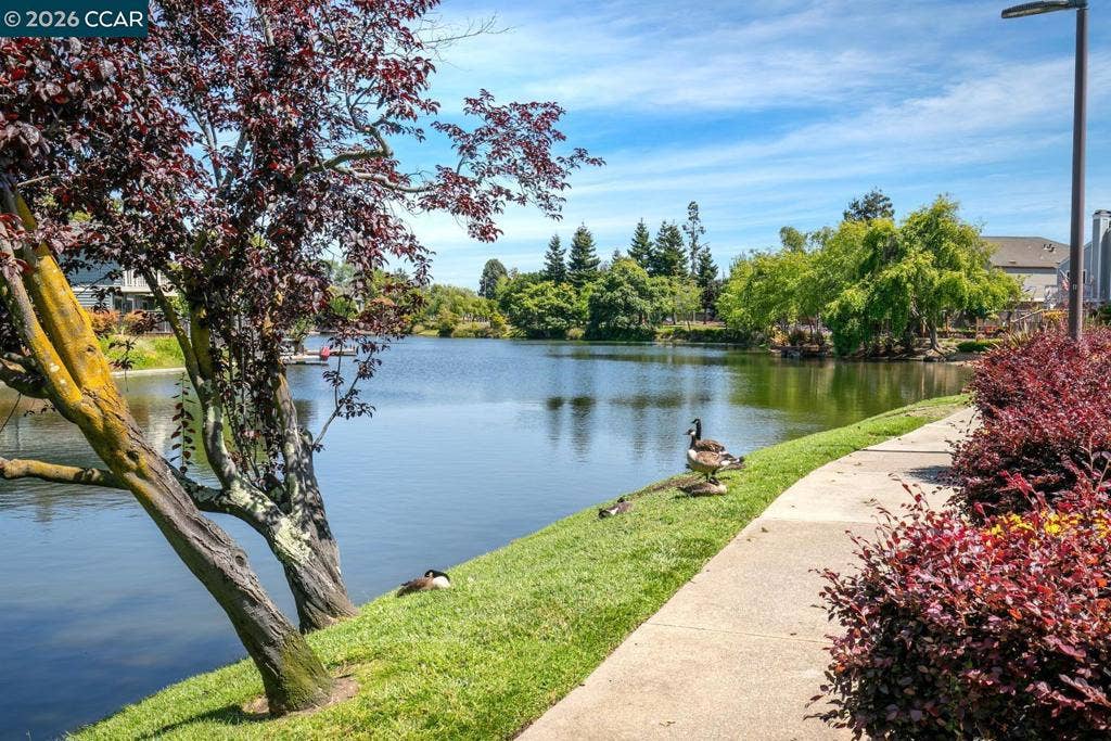 28 Shepardson Ln, Alameda, CA 94502 28 Shepardson Ln, Alameda, CA 94502
