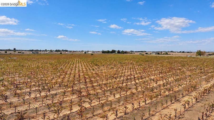 Property photo for 2600 Tule Ln, Knightsen, CA