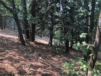 Property photo for 0 Pixie, Running Springs, CA