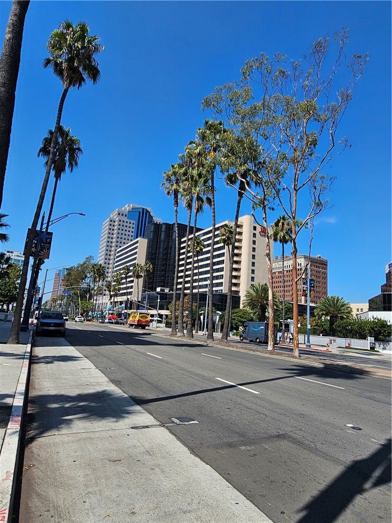 Property photo for 249 E Ocean, Long Beach, CA
