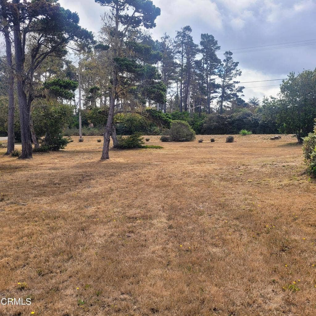 23650 North Highway 1, Fort Bragg, CA 95437 20260902_105749
