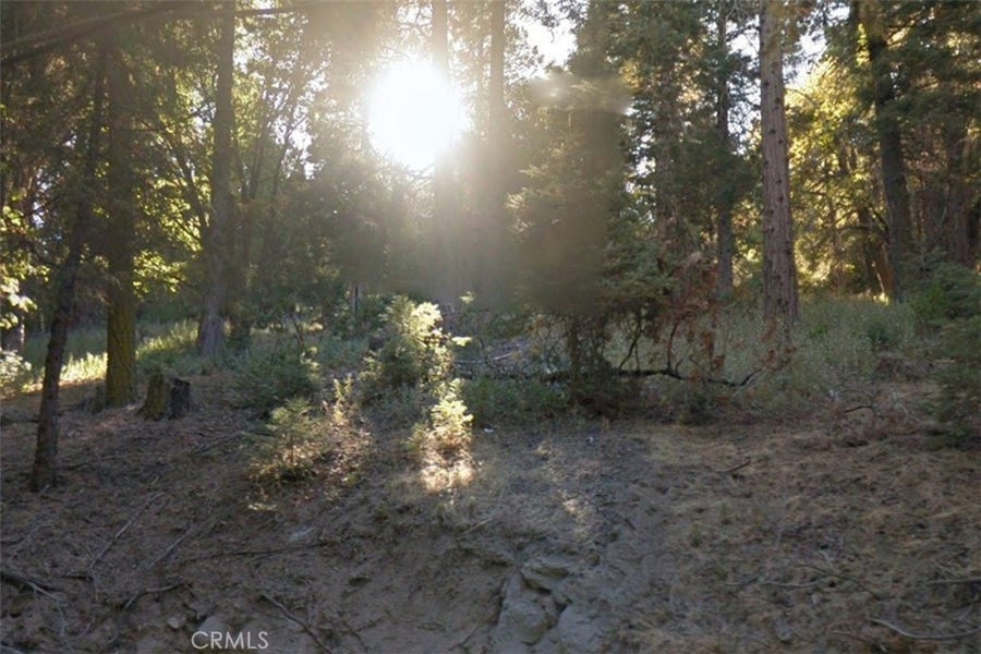 Property photo for 20 Burnt Mill Canyon Road, Cedarpines Park, CA