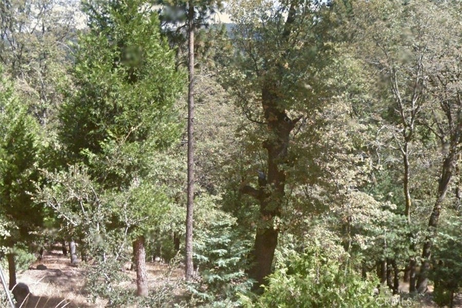 Property photo for 40 Fir Street, Cedarpines Park, CA
